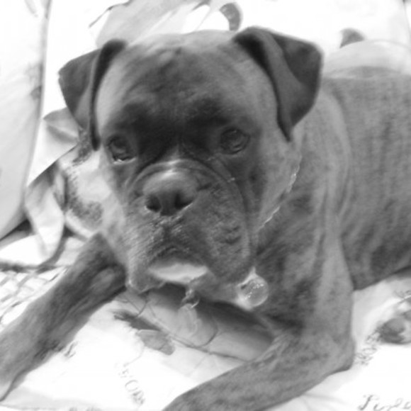 Meet your Posher, Mimi - Picture 1 of 1